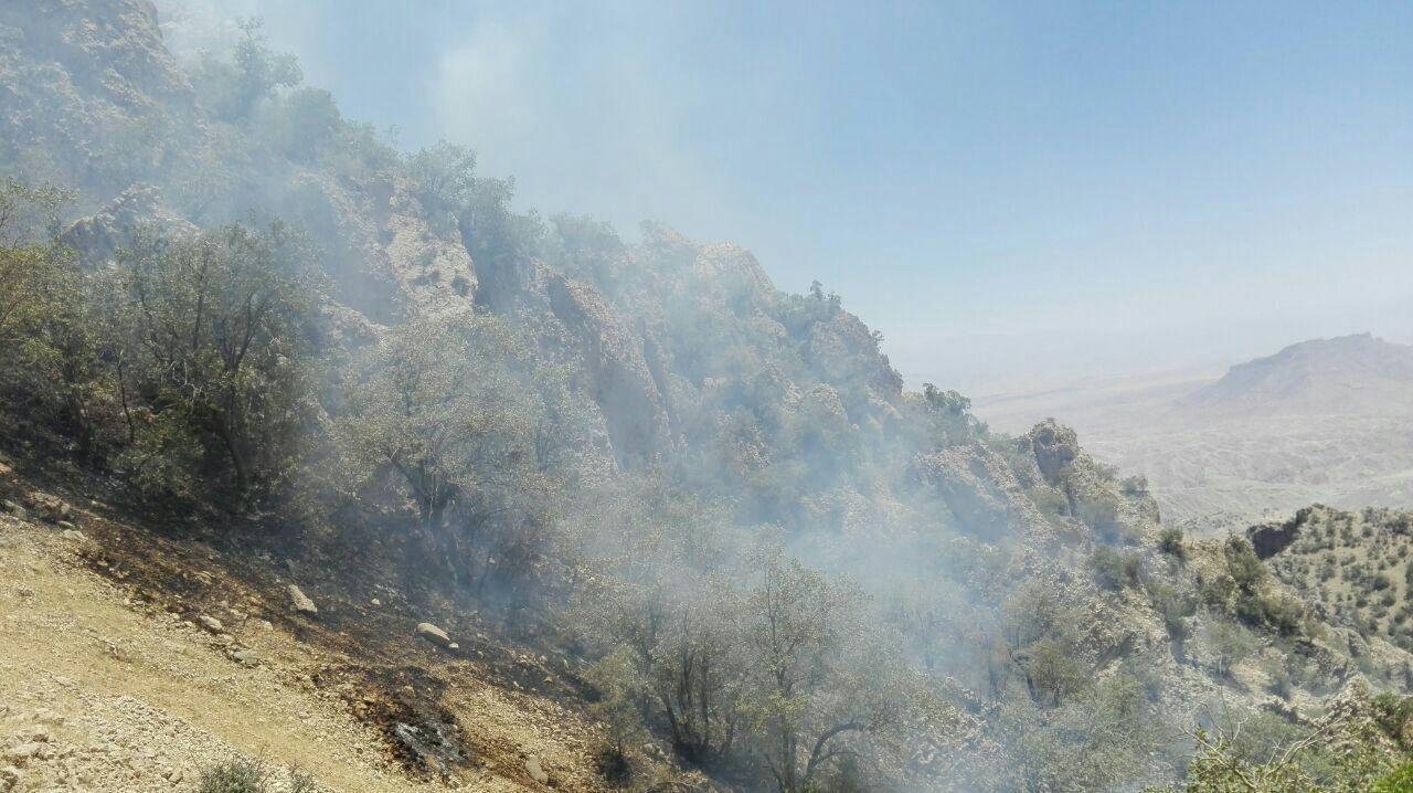 مهار کامل آتش در منطقه حفاظت شده خائیز کهگیلویه