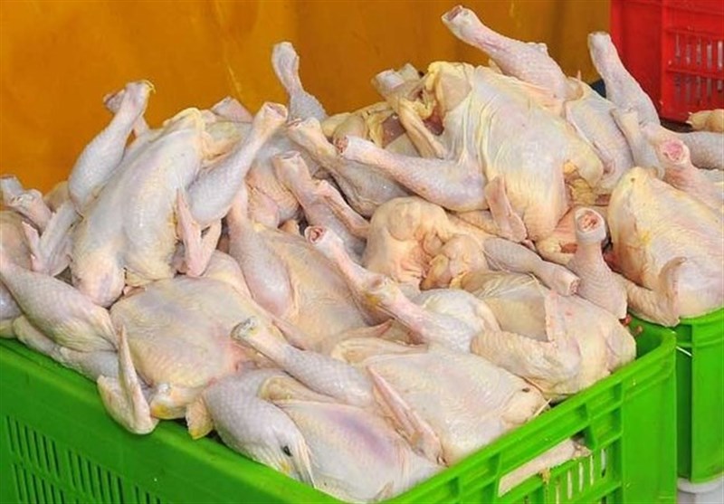 قیمت مرغ در کهگیلویه و بویراحمد تعیین شد/جزییات