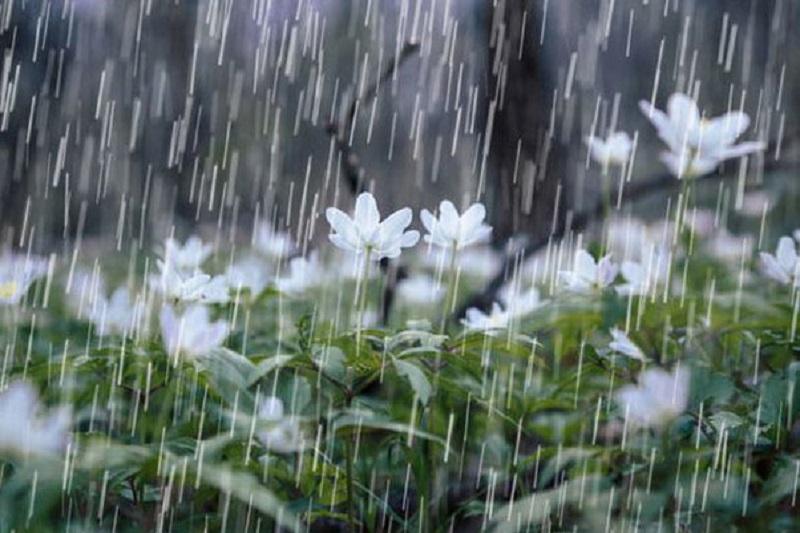 بارش باران در راه کهگیلویه و بویراحمد/جزئیات