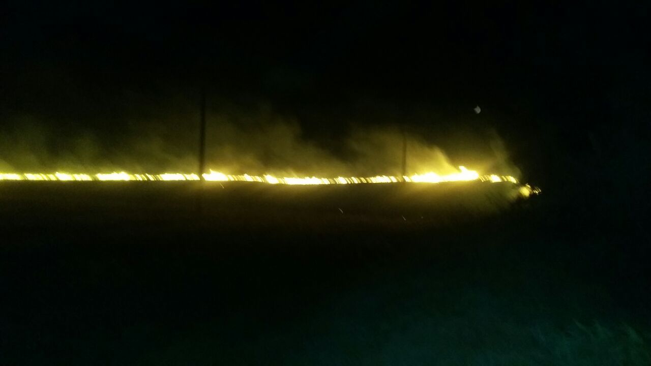 جان باختن یک نفر براثر آتش سوزی مزارع در ممسنی