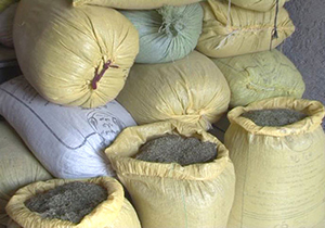 دستگیری عاملان قاچاق گیاه دارویی "مورد" در شهرستان رستم فارس