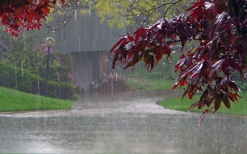 پیش بینی بارش پراکنده باران در کهگیلویه و بویراحمد/جزییات