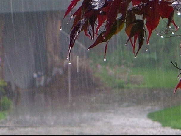 میزان بارندگی ها در کهگیلویه و بویراحمد اعلام شد/جزئیات