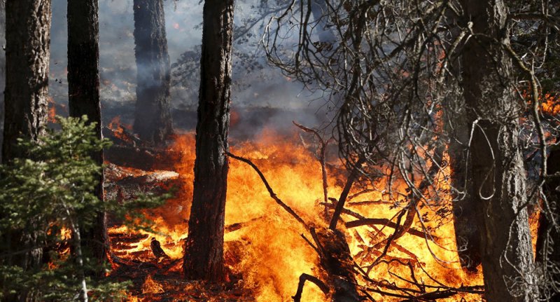 فرماندار کهگیلویه خواستار کمک برای مهار آتش سوزی کوه خائیز شد