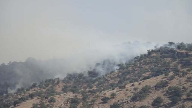 آخرین جزئیات آتش سوزی در منطقه حفاظت شده خائیز از زبان فرماندار کهگیلویه