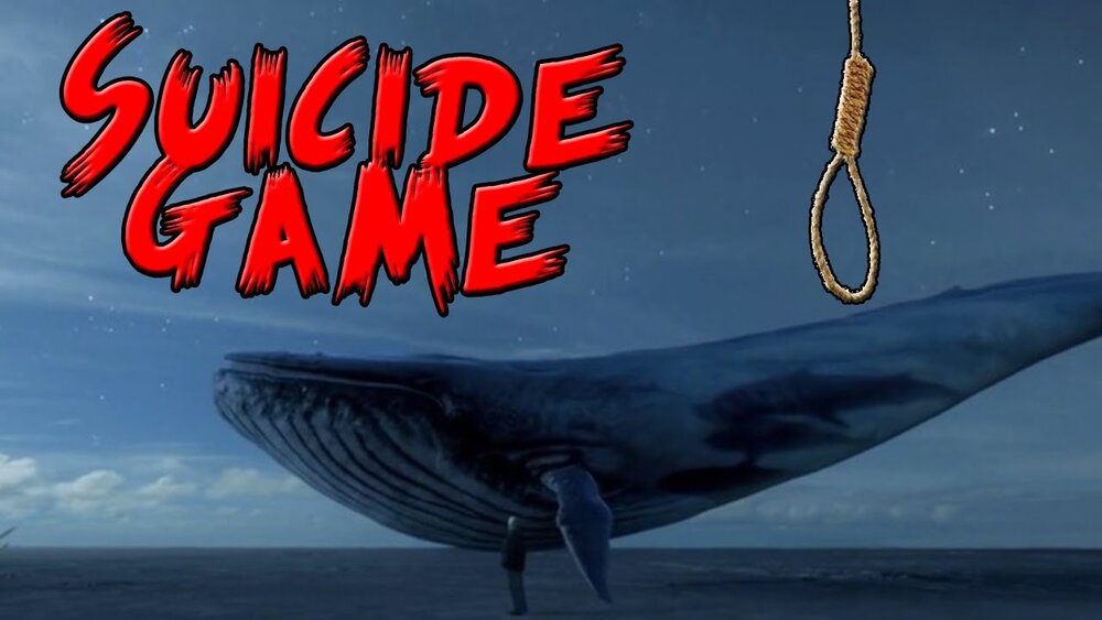 نهنگ آبی ۳ جوان را در دریای خزر به کام مرگ کشاند + جزئیات خودکشی