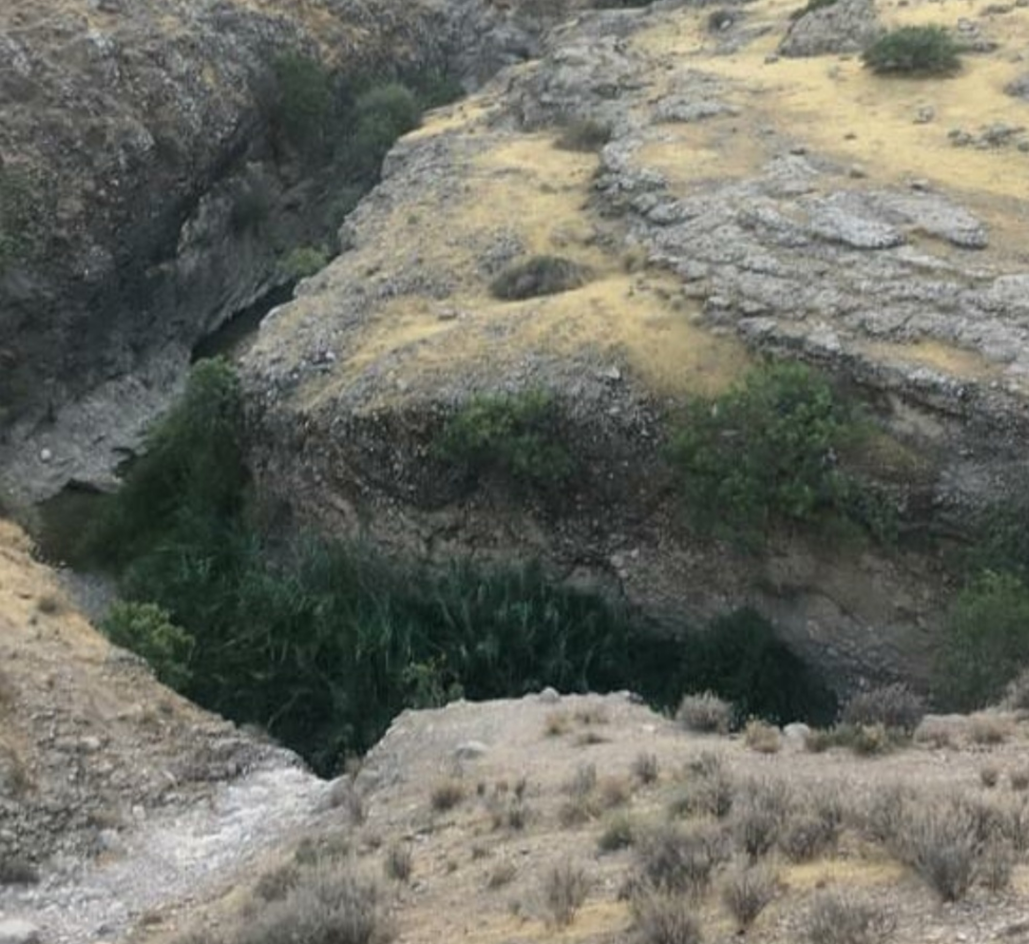 "مادر و دختر " جان جوان نورآبادی را گرفت + عکس