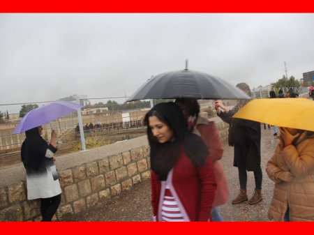 پس از باران شیراز به روایت تصویر 