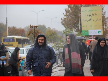 پس از باران شیراز به روایت تصویر 
