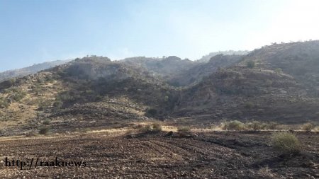 مزارع روستاهای شهر باشت در آتش می سوزد/عدم حضور تیم مدیریت بحران