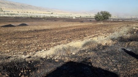 مزارع روستاهای شهر باشت در آتش می سوزد/عدم حضور تیم مدیریت بحران