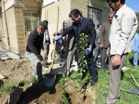 کاشت نهال توسط سرپرست شبکه بهداشت و درمان کهگیلویه+تصاویر