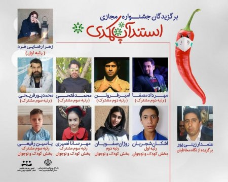 برگزیدگان جشنواره مجازی استندآپ کمدی در استان کهگیلویه و بویراحمد اعلام شد/تصاویر