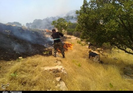 نقش مهم نیروهای سپاه و بسیج در مهار آتش سوزی های اخیر استان کهگیلویه و بویراحمد