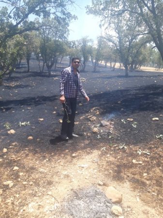 حضور به موقع سپاه در مهار آتش سوزی های کوه سروک شهرستان بویراحمد/تصاویر