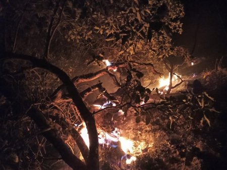 حضور میدانی فرمانده تیپ 48 فتح در آتش‌سوزی جنگل دمچنار+تصاویر