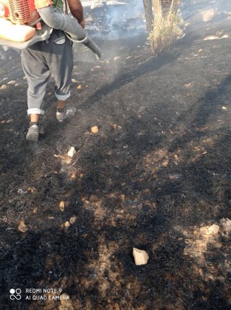 آتش سوزی گسترده در کوه های آرند چرام /استمداد اهالی این منطقه از مردم و مسئولان برای خاموش کردن آتش /تصاویر