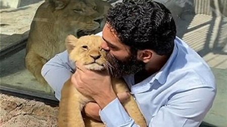 واکنش محیط زیست به فیلم خواننده مشهور با یک توله شیر: قطعا این ماجرا را پیگیری می‌کنیم