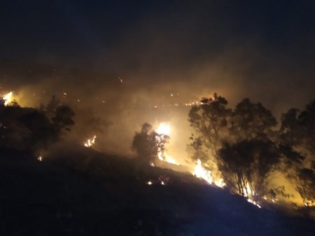کوه سفید شهرستان لنده همچنان در آتش می سوزد/تصاویر