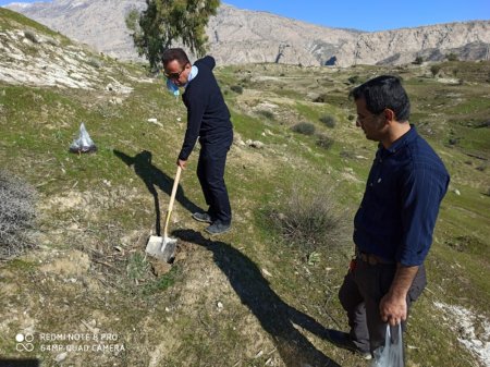 در سالروز تأسیس انجمن جوانان شهرستان لنده:  پویش مردمی کاشت دانه های بلوط و بادام در دامنه ها و کوه های شهرستان لنده /تصاویر