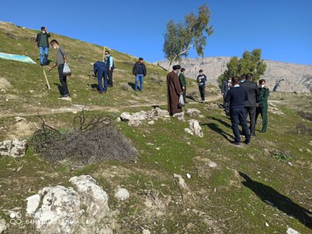 در سالروز تأسیس انجمن جوانان شهرستان لنده:  پویش مردمی کاشت دانه های بلوط و بادام در دامنه ها و کوه های شهرستان لنده /تصاویر