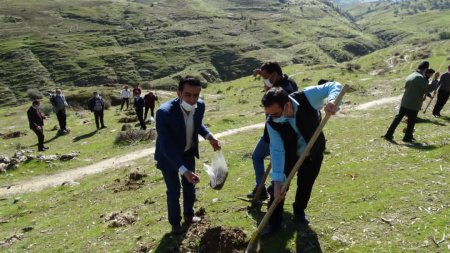 در سالروز تأسیس انجمن جوانان شهرستان لنده:  پویش مردمی کاشت دانه های بلوط و بادام در دامنه ها و کوه های شهرستان لنده /تصاویر