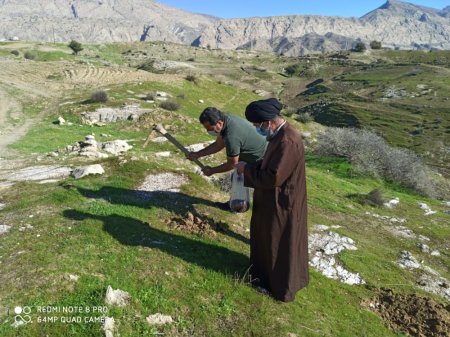 در سالروز تأسیس انجمن جوانان شهرستان لنده:  پویش مردمی کاشت دانه های بلوط و بادام در دامنه ها و کوه های شهرستان لنده /تصاویر