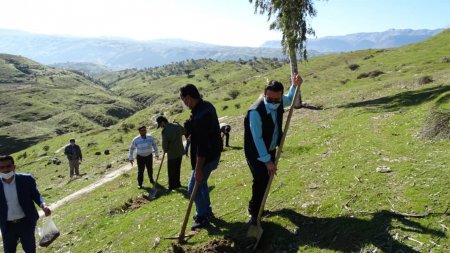 در سالروز تأسیس انجمن جوانان شهرستان لنده:  پویش مردمی کاشت دانه های بلوط و بادام در دامنه ها و کوه های شهرستان لنده /تصاویر