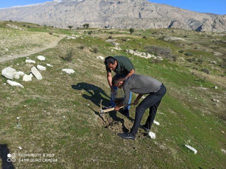 در سالروز تأسیس انجمن جوانان شهرستان لنده:  پویش مردمی کاشت دانه های بلوط و بادام در دامنه ها و کوه های شهرستان لنده /تصاویر