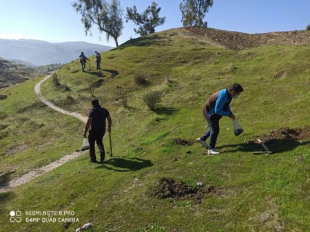 در سالروز تأسیس انجمن جوانان شهرستان لنده:  پویش مردمی کاشت دانه های بلوط و بادام در دامنه ها و کوه های شهرستان لنده /تصاویر