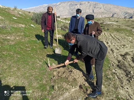 در سالروز تأسیس انجمن جوانان شهرستان لنده:  پویش مردمی کاشت دانه های بلوط و بادام در دامنه ها و کوه های شهرستان لنده /تصاویر