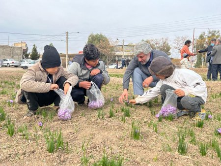 معاون پارلمانی وزارت راه و شهرسازی کشور درگفتگو با خبرنگاران: زمین برای ساخت دو میلیون 400 هزار مسکن فراهم شده است