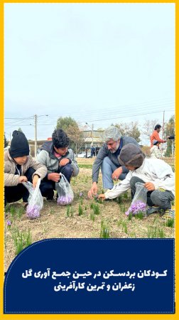 معاون پارلمانی وزارت راه و شهرسازی کشور درگفتگو با خبرنگاران: زمین برای ساخت دو میلیون 400 هزار مسکن فراهم شده است