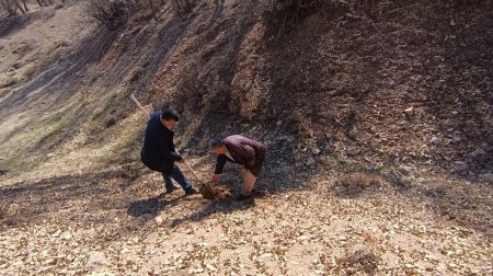 مدیرکل منابع طبیعی وآبخیزداری کهگیلویه و بویراحمد خبر داد؛  آغاز جمع آوری بذور جنگلی جهت کاشت در مناطق آلوده به آفت برگ خوار وجوانه خوار بلوط