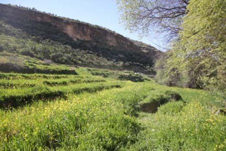 "لگین "یا "نیگن"بهشت چهارفصل +تصاویر