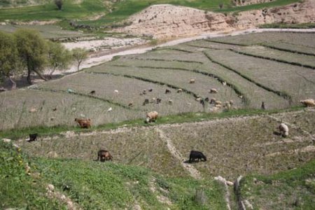 "لگین "یا "نیگن"بهشت چهارفصل +تصاویر