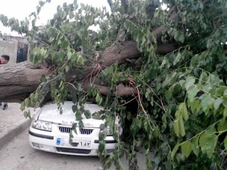 رئیس هلال احمرشهرستان ممسنی خبرداد:تخریب چندمنزل روستایی دراثر تندبادشدید+تصاویر