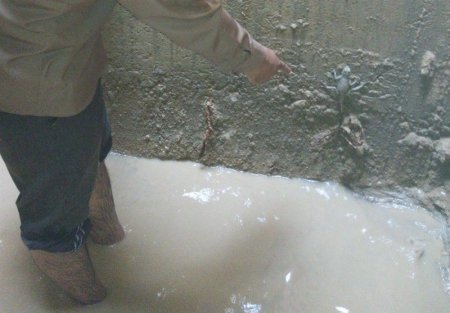 اظهارنظرعجیب مدیر آبفای روستایی شهرستان کهگیلویه ؛مارمولک در تمام خانه‌ها وجود دارد و هیچ اشکالی ندارد در منبع آب هم مشاهده شود!+تصاویر