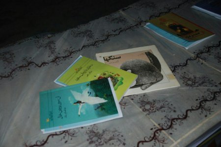 برپایی ایستگاه مطالعه و اهدای کتاب در میدان مرکزی شهر دهدشت/تصاویر